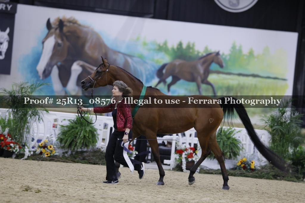 Proof 25R13_08576