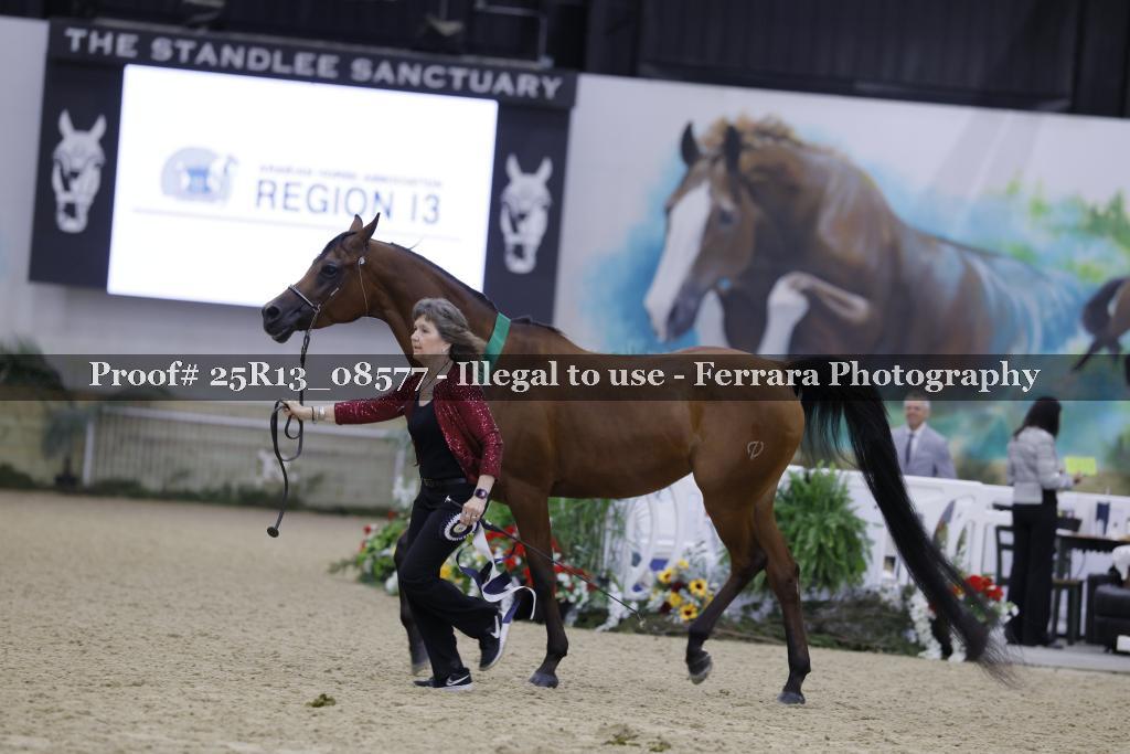 Proof 25R13_08577