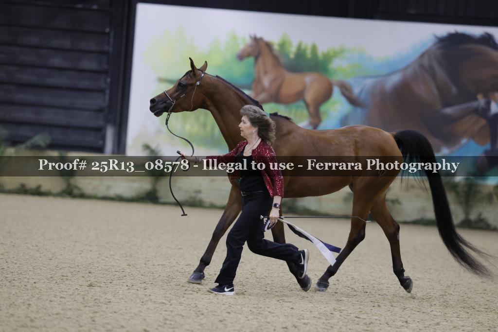 Proof 25R13_08578
