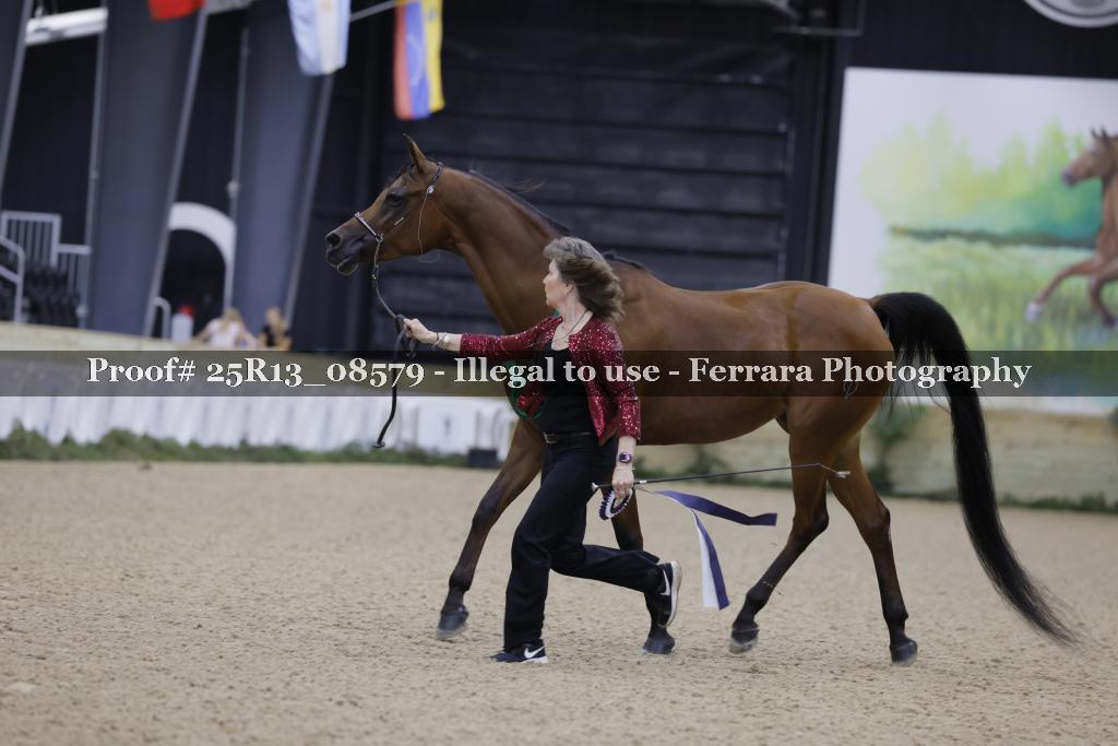 Proof 25R13_08579