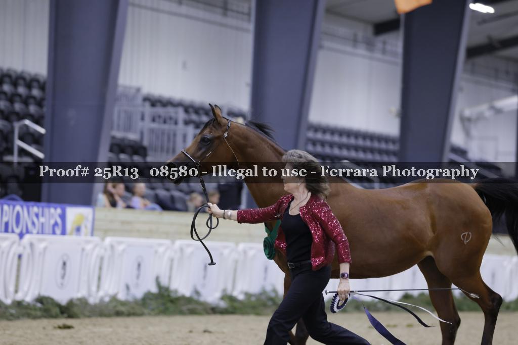 Proof 25R13_08580