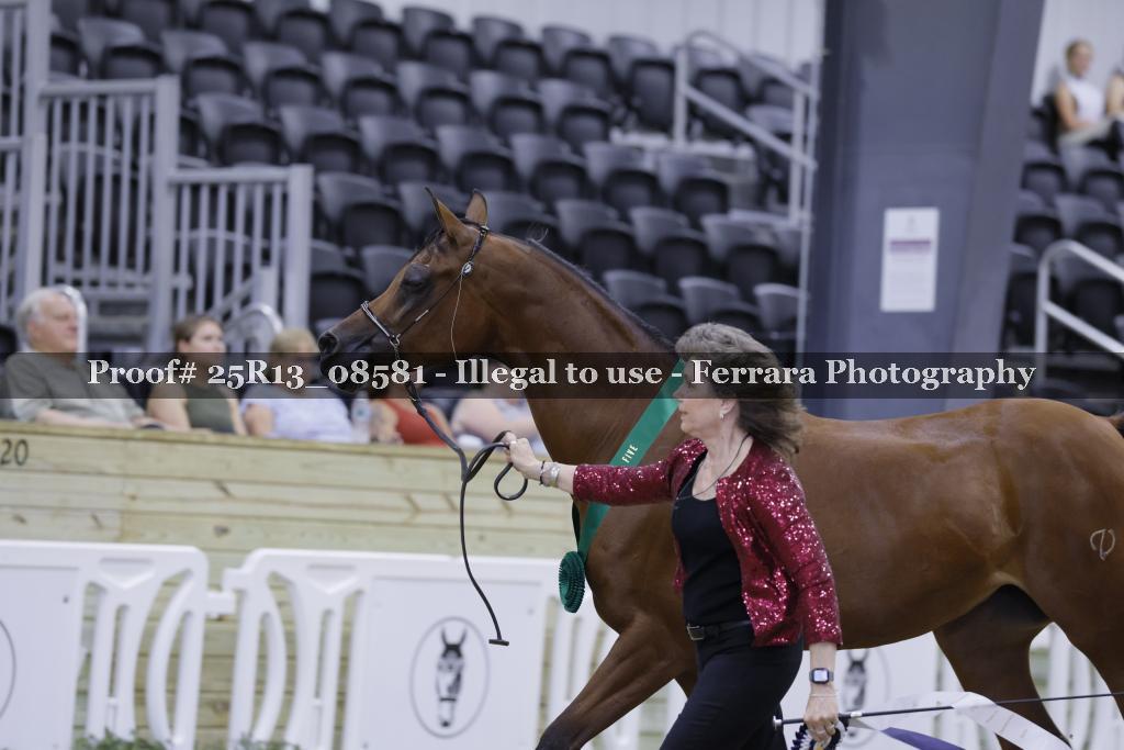 Proof 25R13_08581