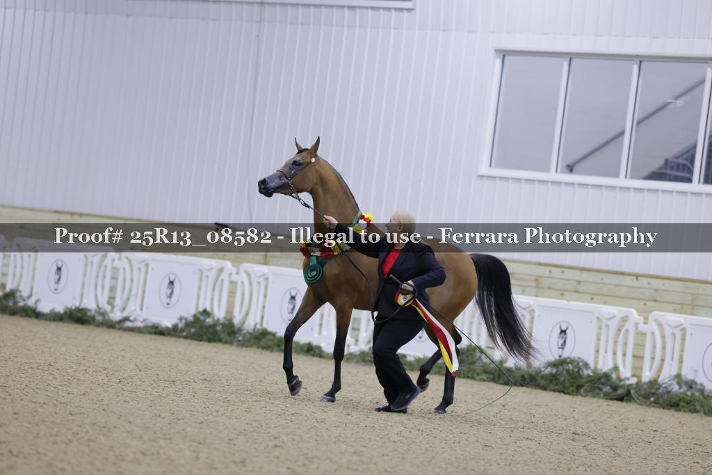 Proof 25R13_08582