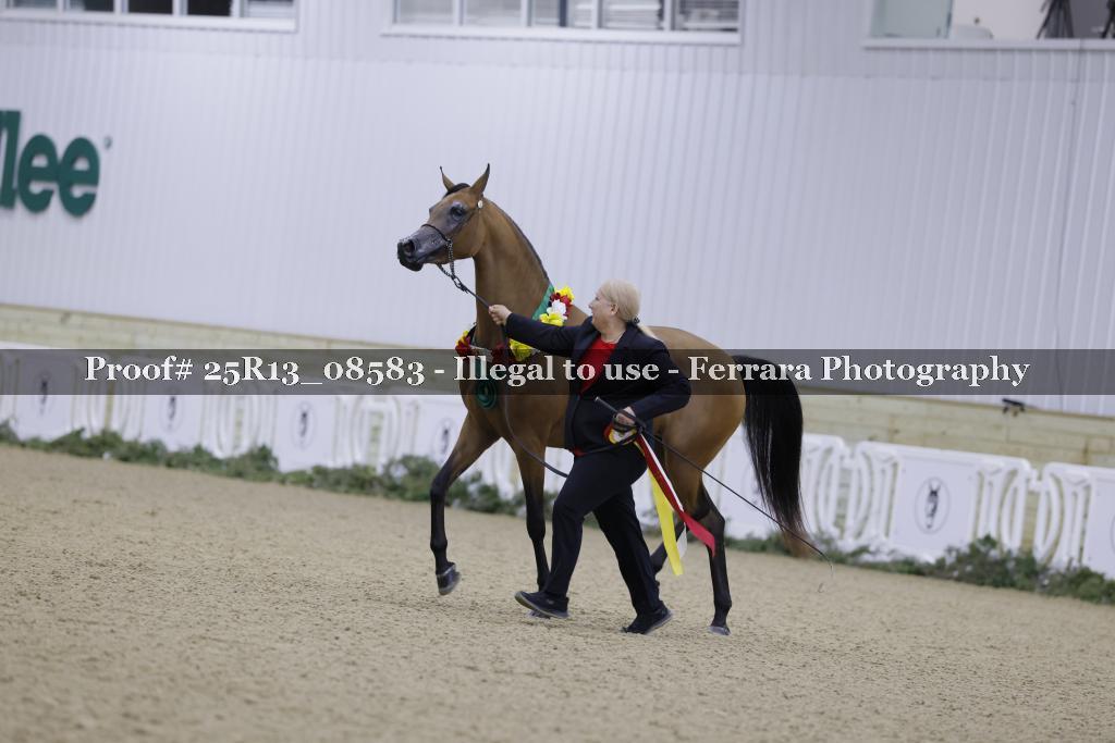 Proof 25R13_08583