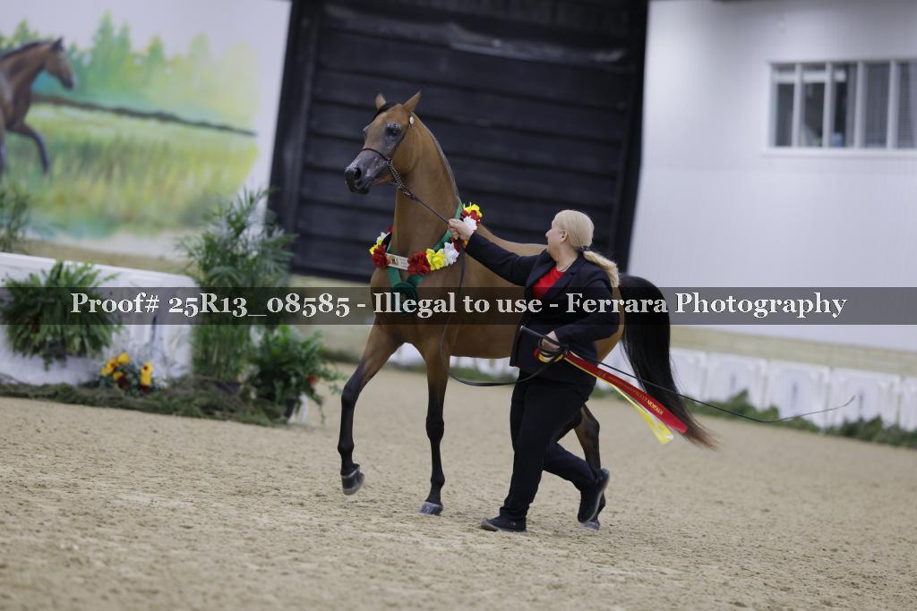 Proof 25R13_08585