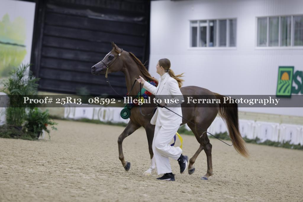 Proof 25R13_08592