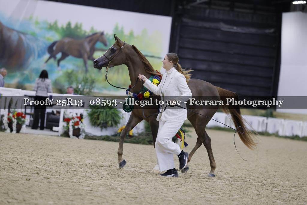 Proof 25R13_08593
