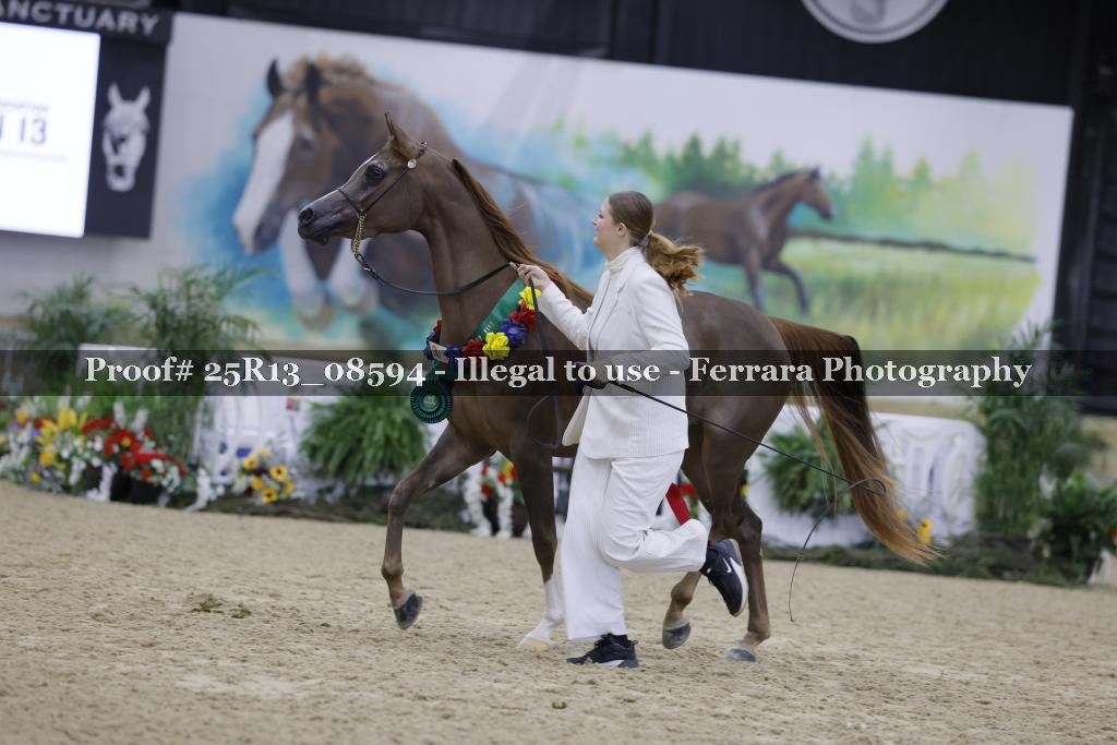 Proof 25R13_08594