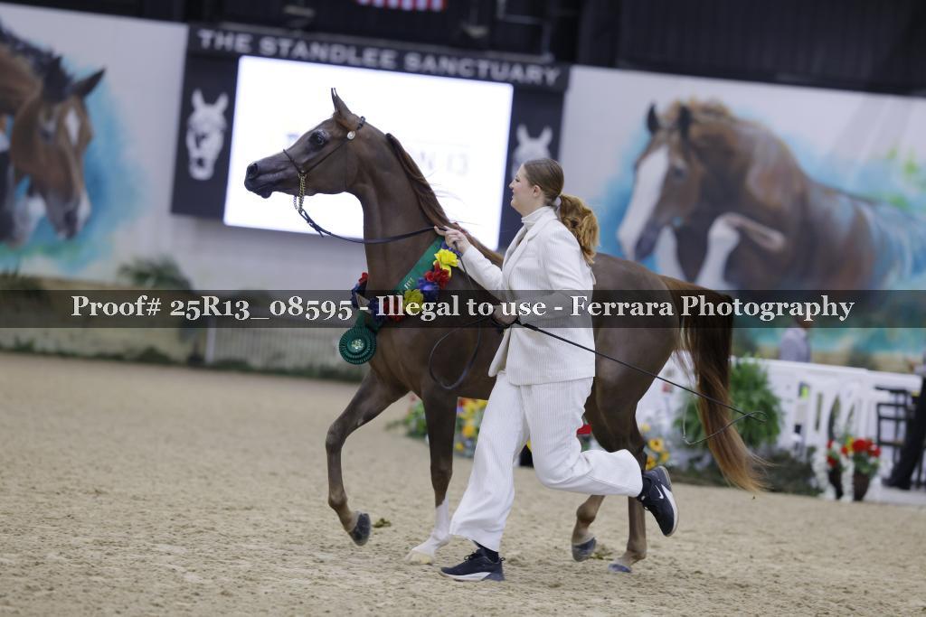 Proof 25R13_08595