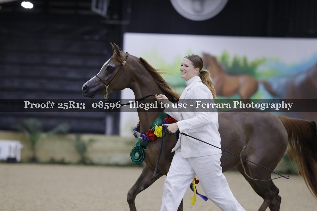 Proof 25R13_08596