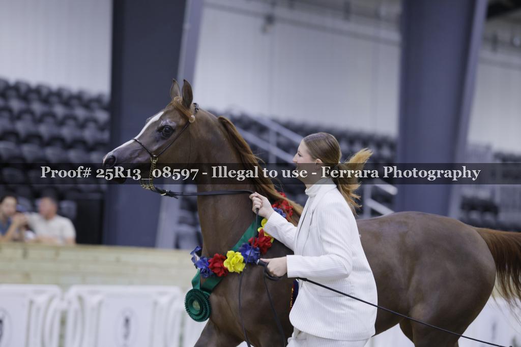Proof 25R13_08597