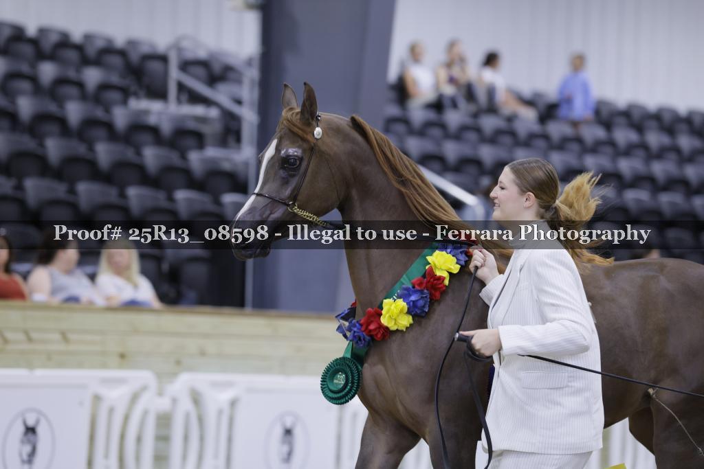 Proof 25R13_08598