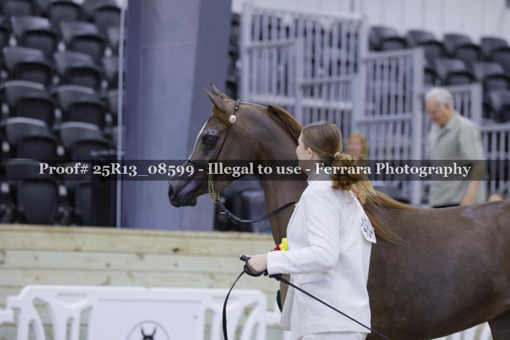 Proof 25R13_08599