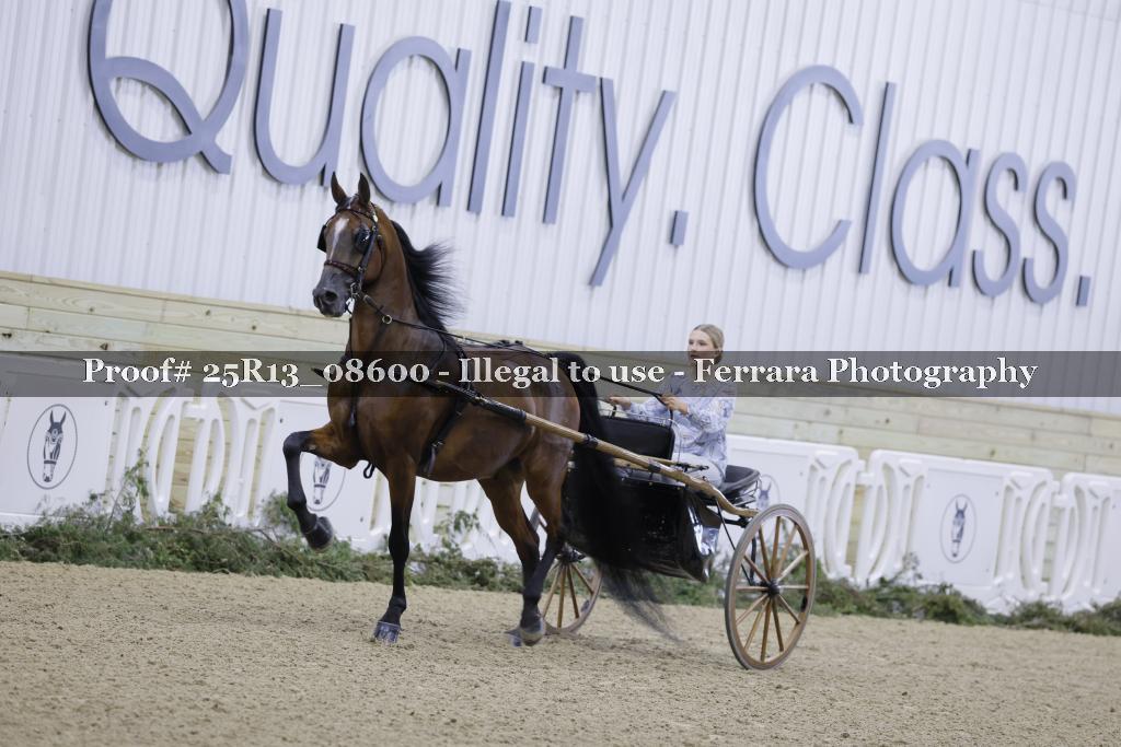 Proof 25R13_08600