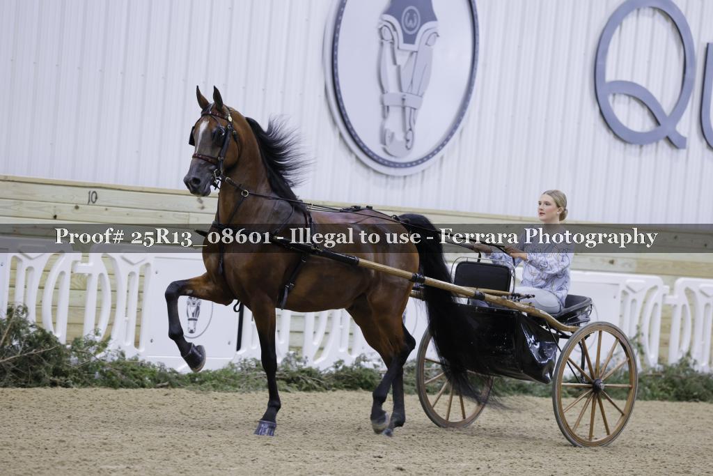 Proof 25R13_08601