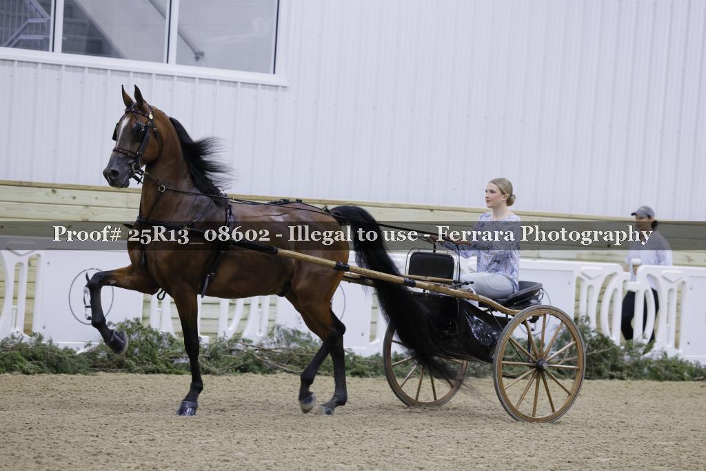 Proof 25R13_08602