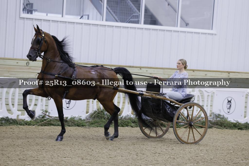 Proof 25R13_08603