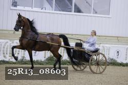 25R13_08603 proof