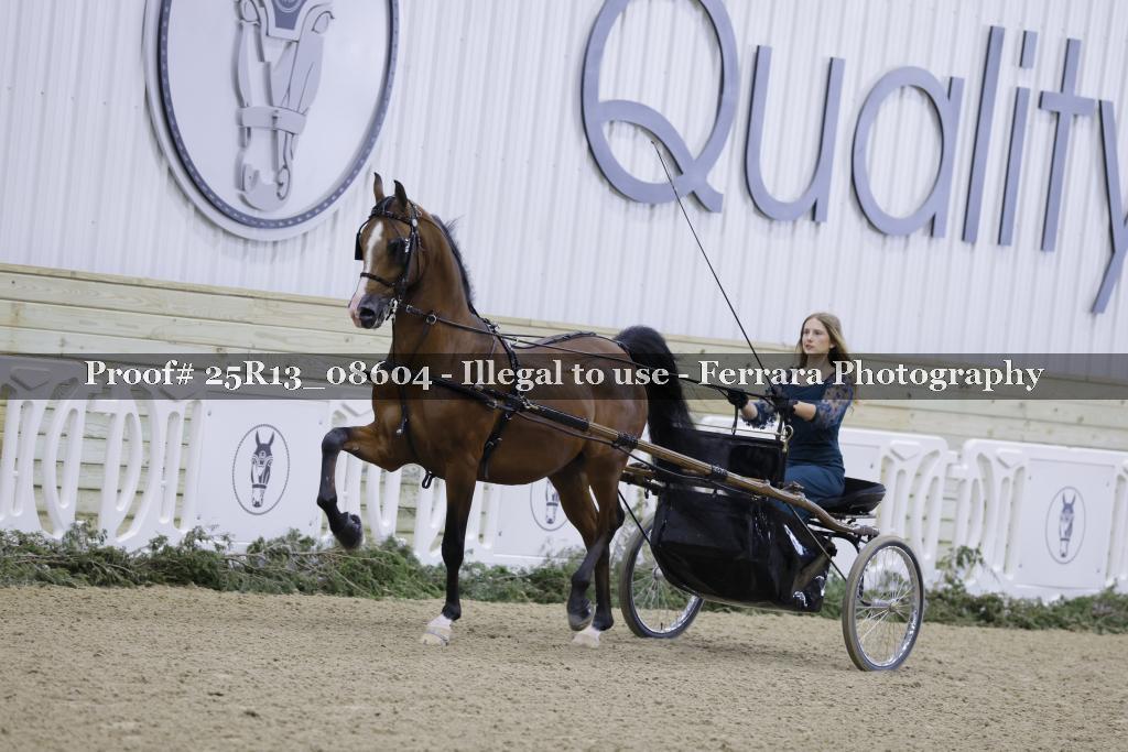 Proof 25R13_08604