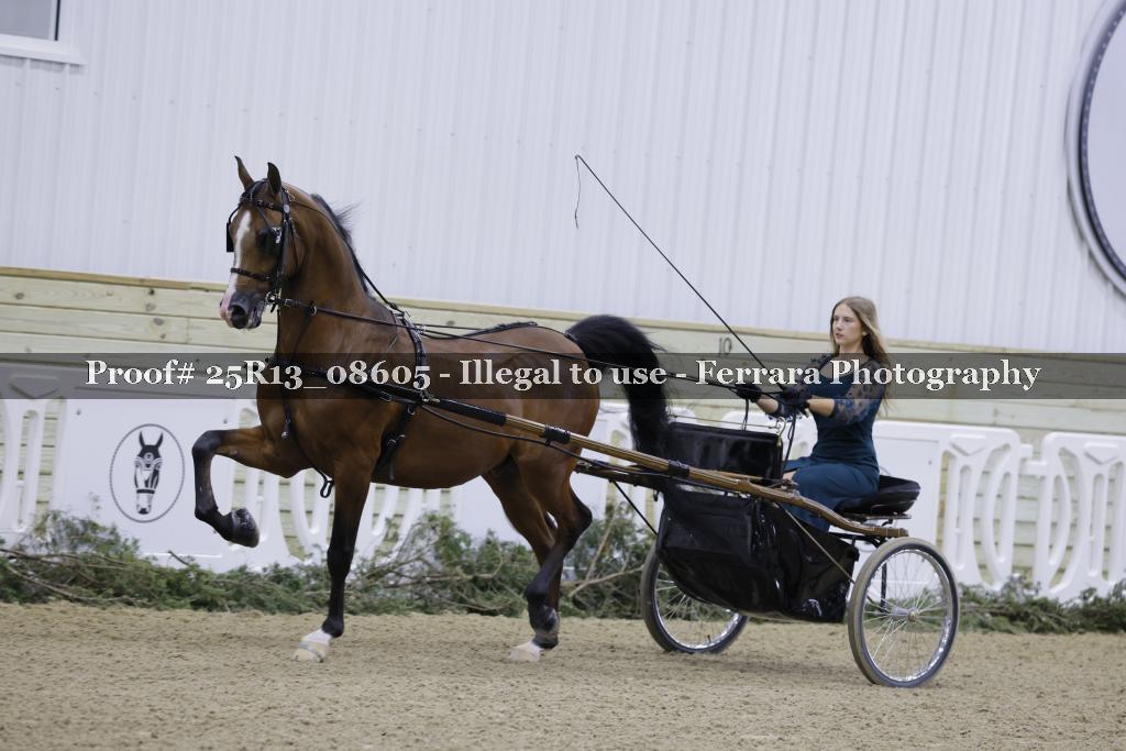 Proof 25R13_08605