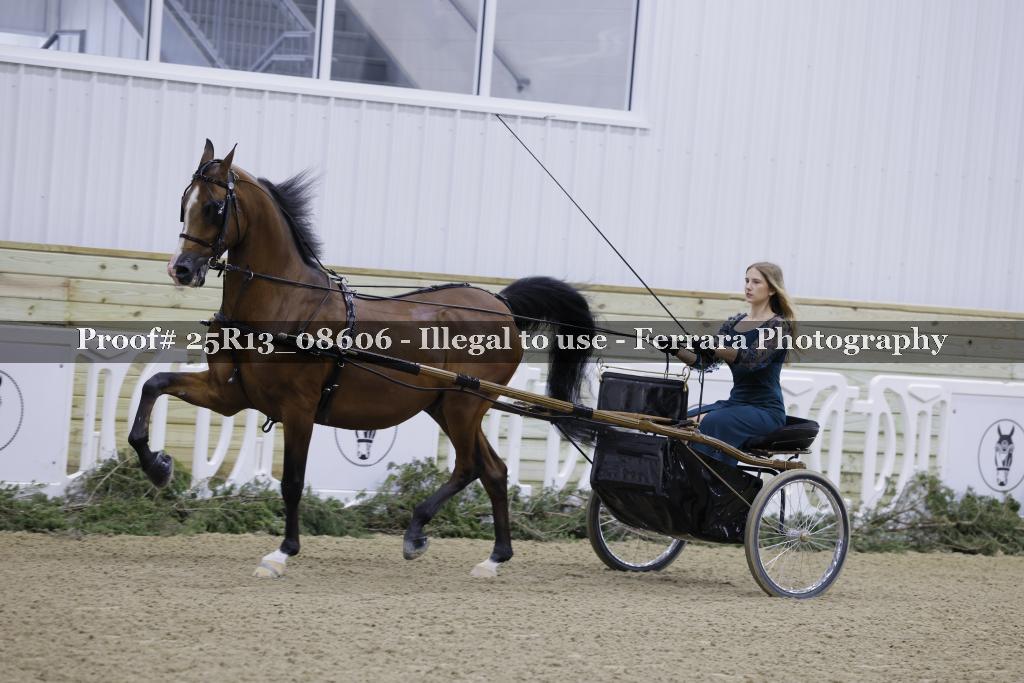 Proof 25R13_08606