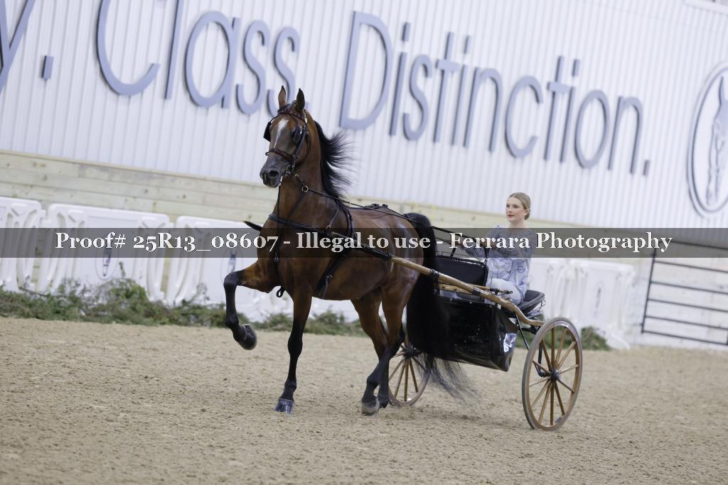 Proof 25R13_08607