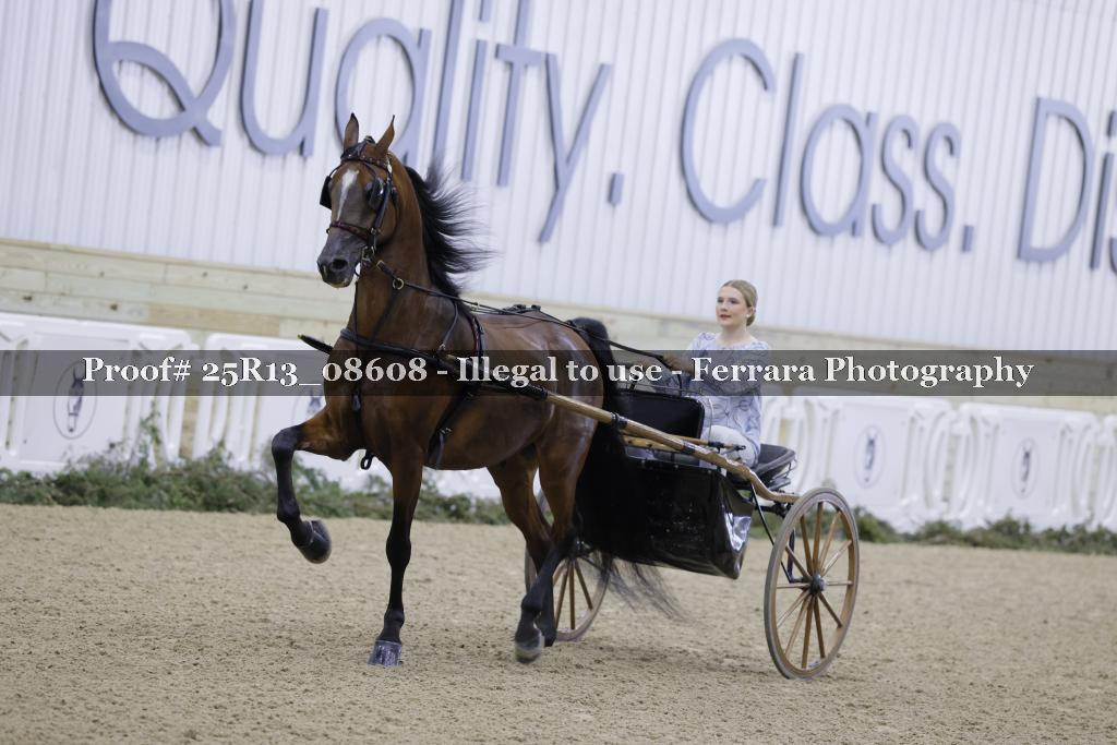 Proof 25R13_08608