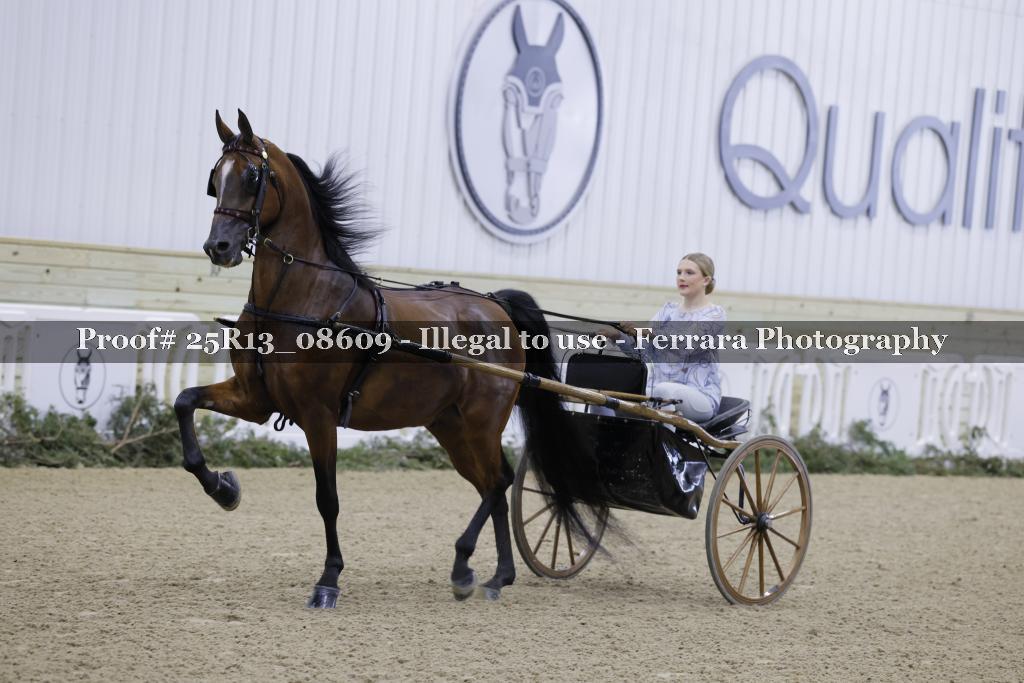 Proof 25R13_08609