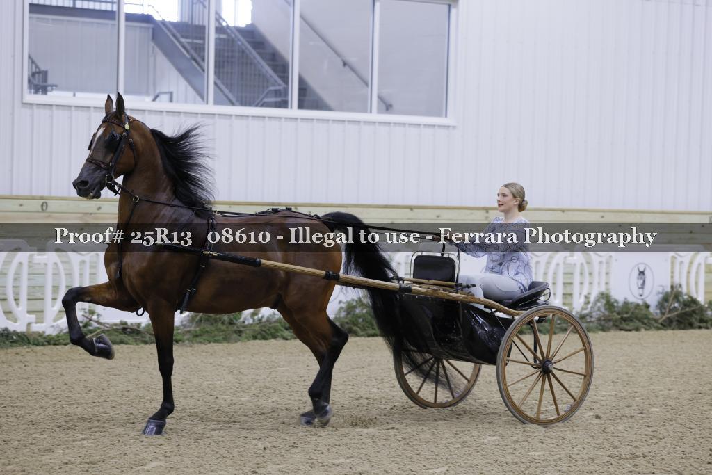 Proof 25R13_08610