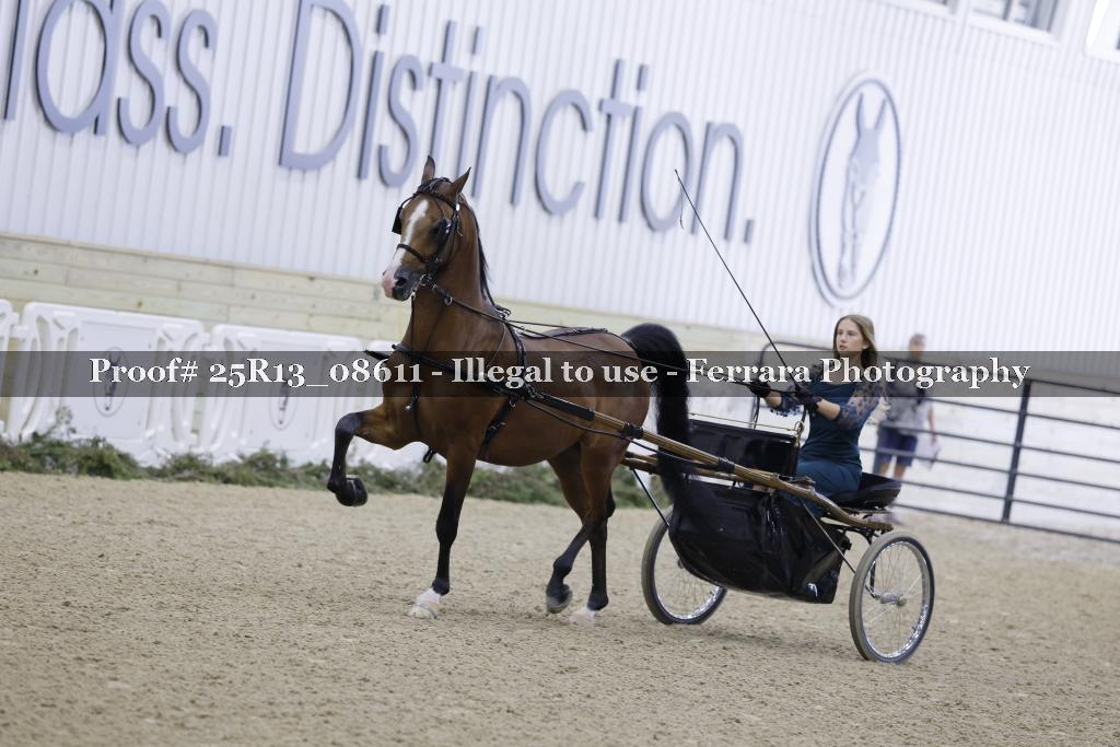 Proof 25R13_08611