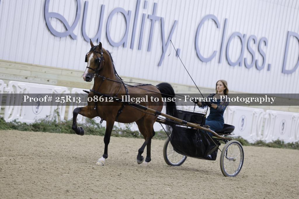 Proof 25R13_08612