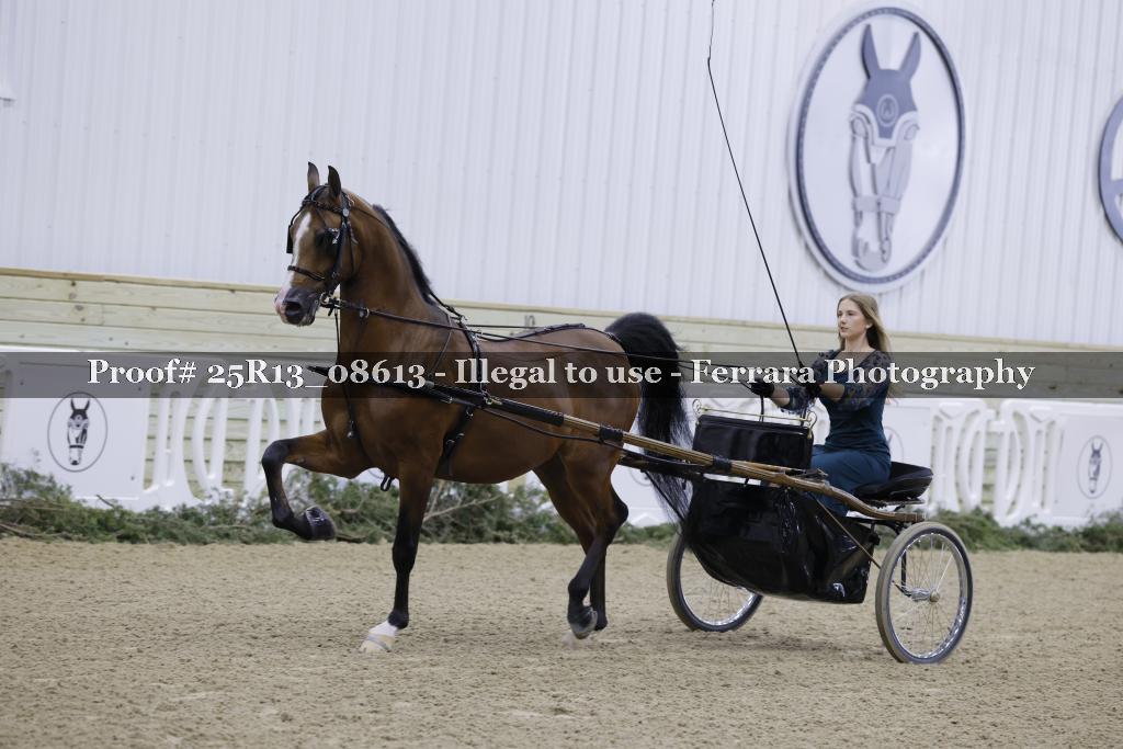 Proof 25R13_08613