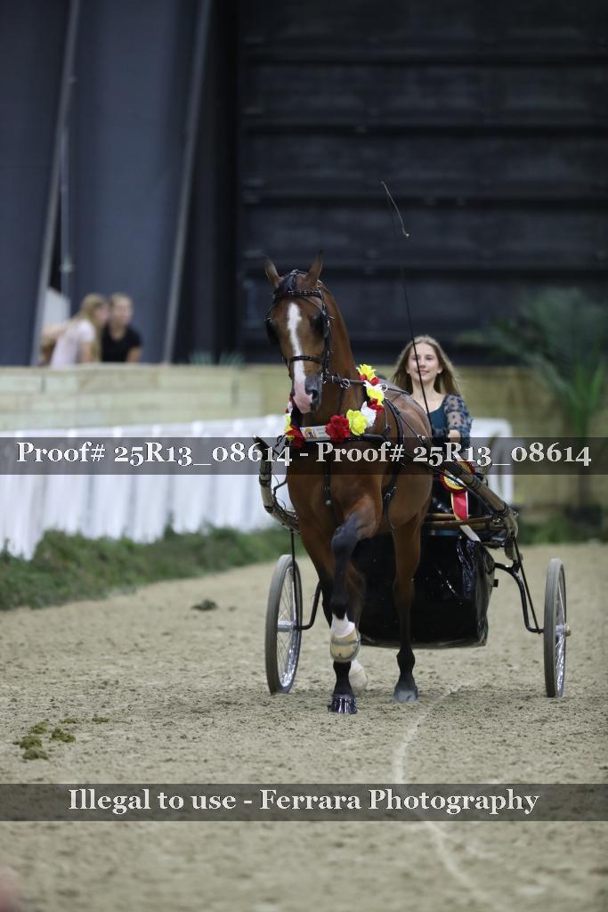 Proof 25R13_08614