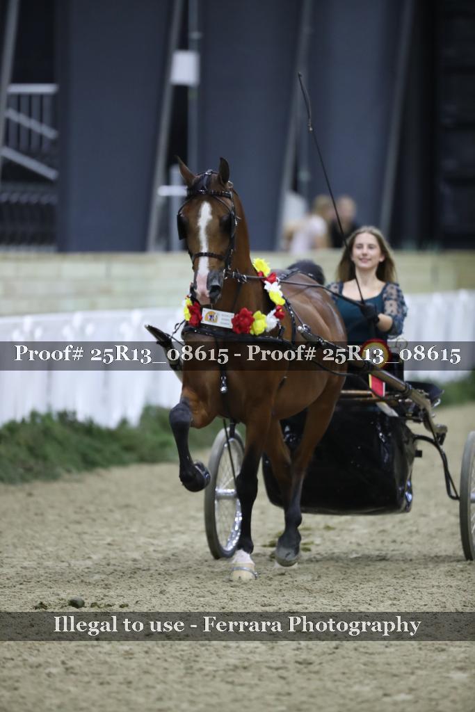 Proof 25R13_08615
