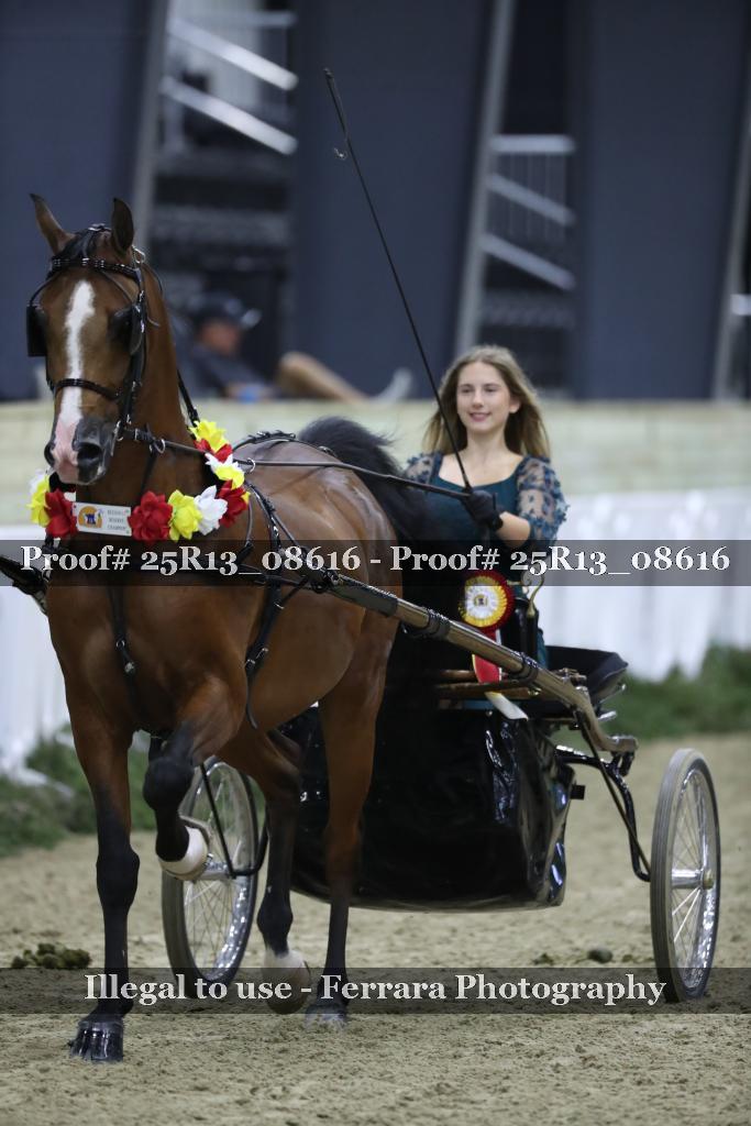 Proof 25R13_08616