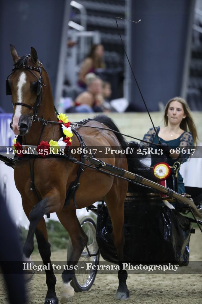 Proof 25R13_08617