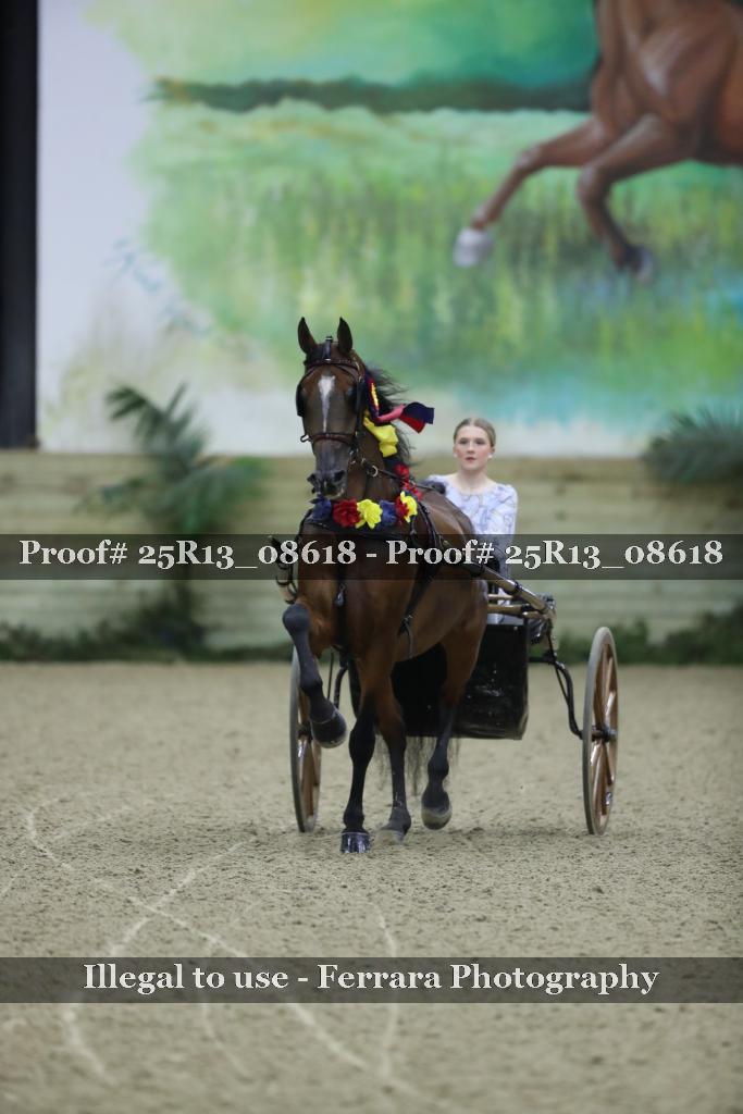 Proof 25R13_08618