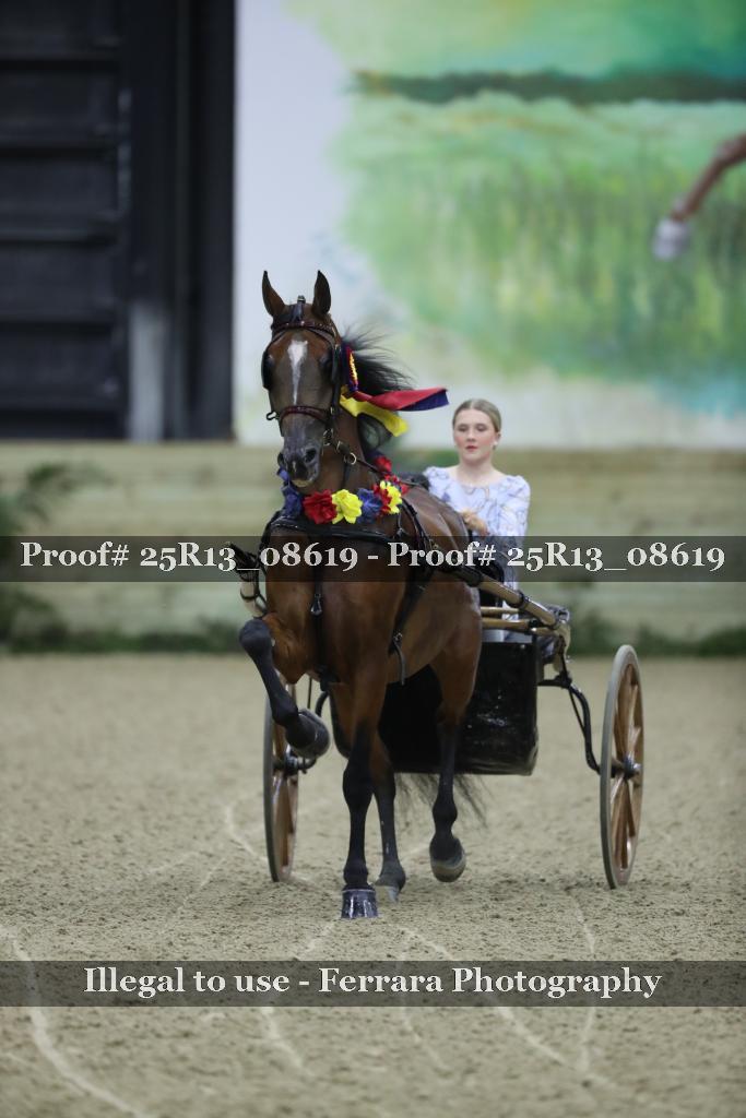 Proof 25R13_08619
