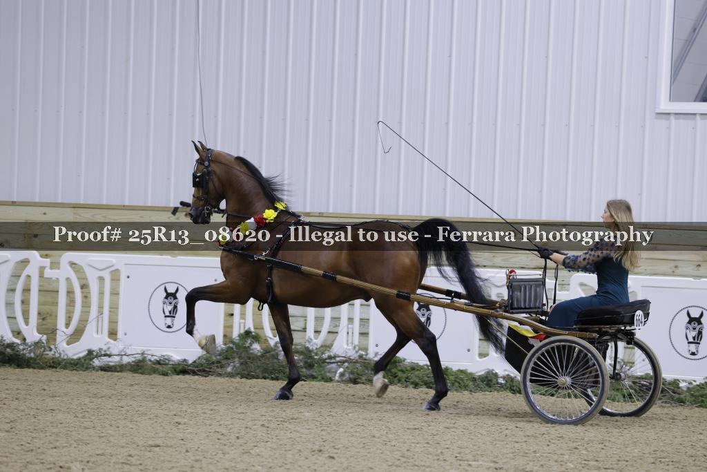 Proof 25R13_08620