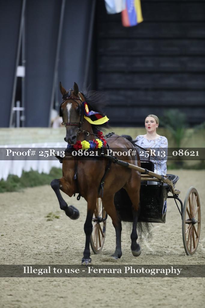 Proof 25R13_08621