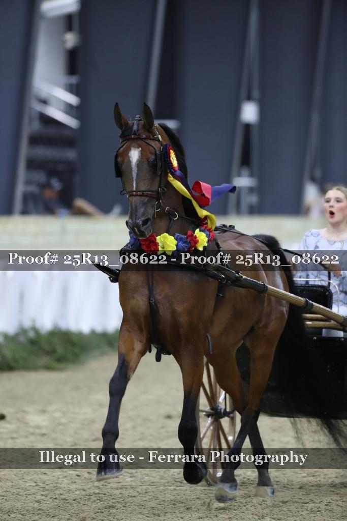 Proof 25R13_08622
