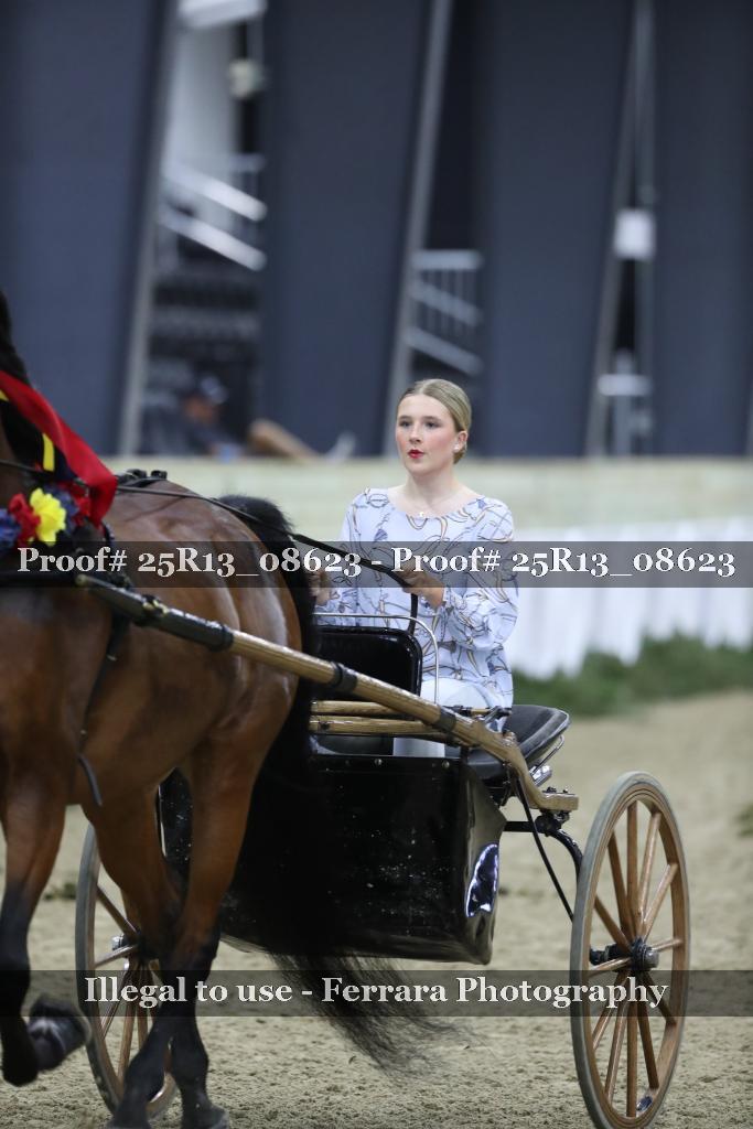 Proof 25R13_08623