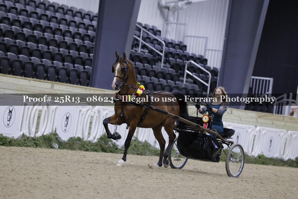 Proof 25R13_08624