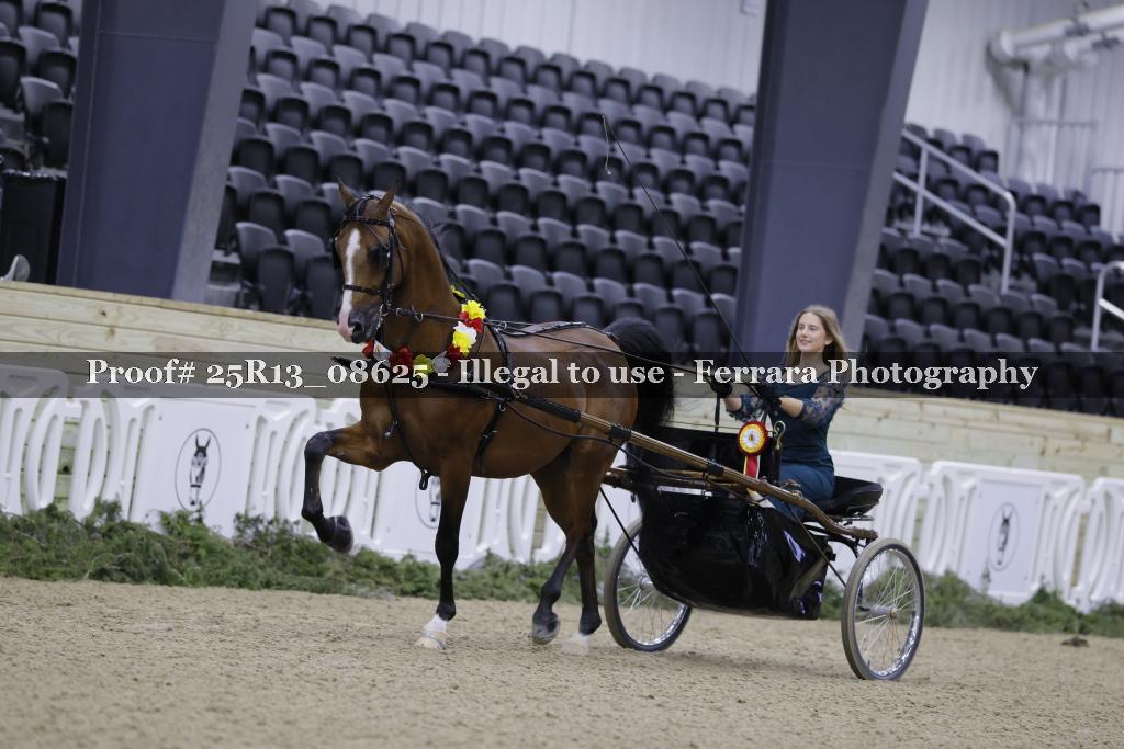 Proof 25R13_08625