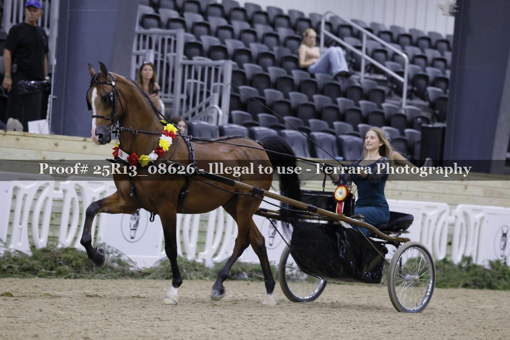 Proof 25R13_08626
