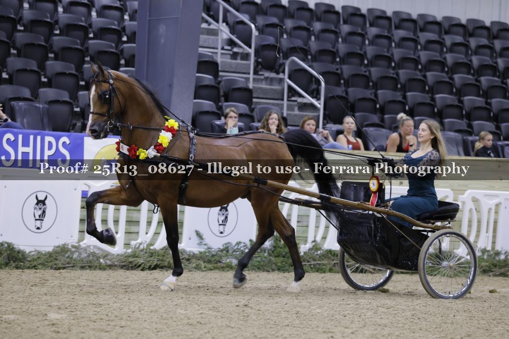 Proof 25R13_08627