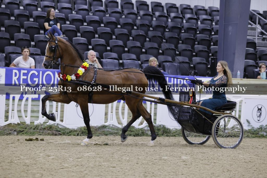 Proof 25R13_08628