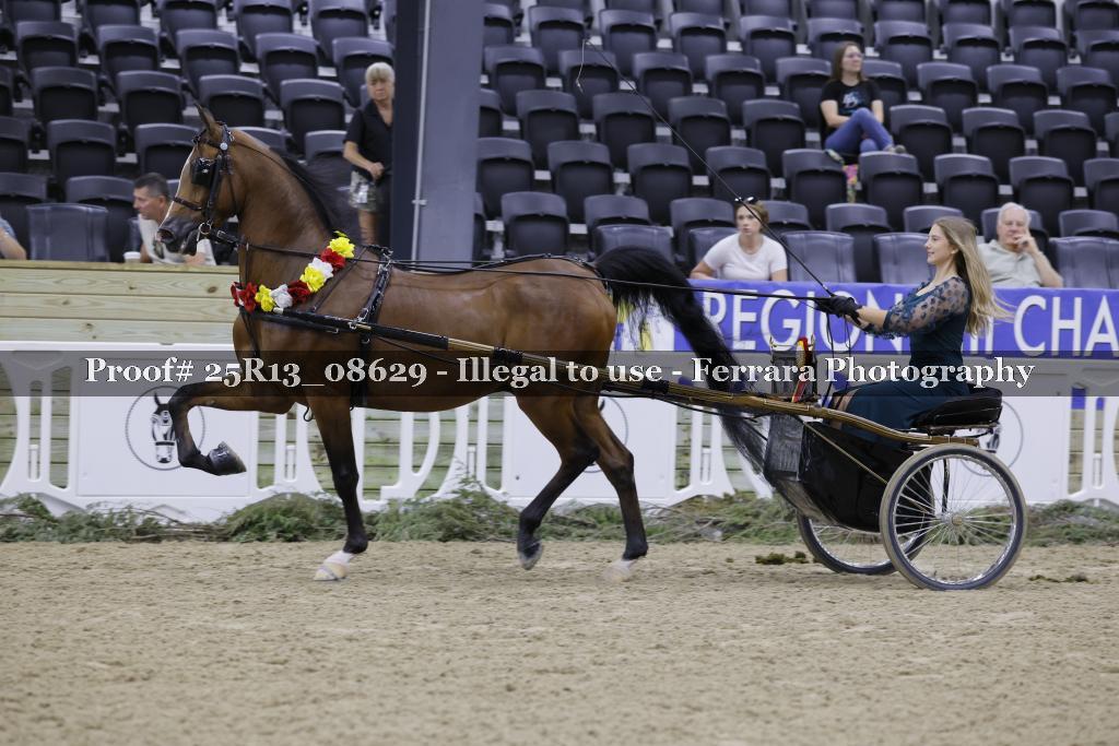 Proof 25R13_08629
