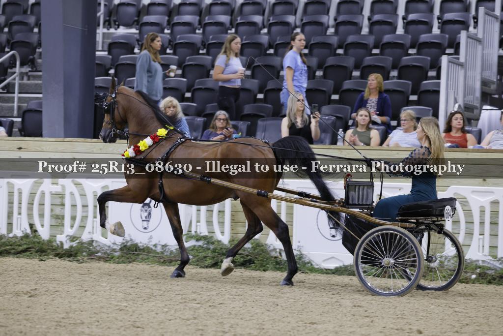 Proof 25R13_08630