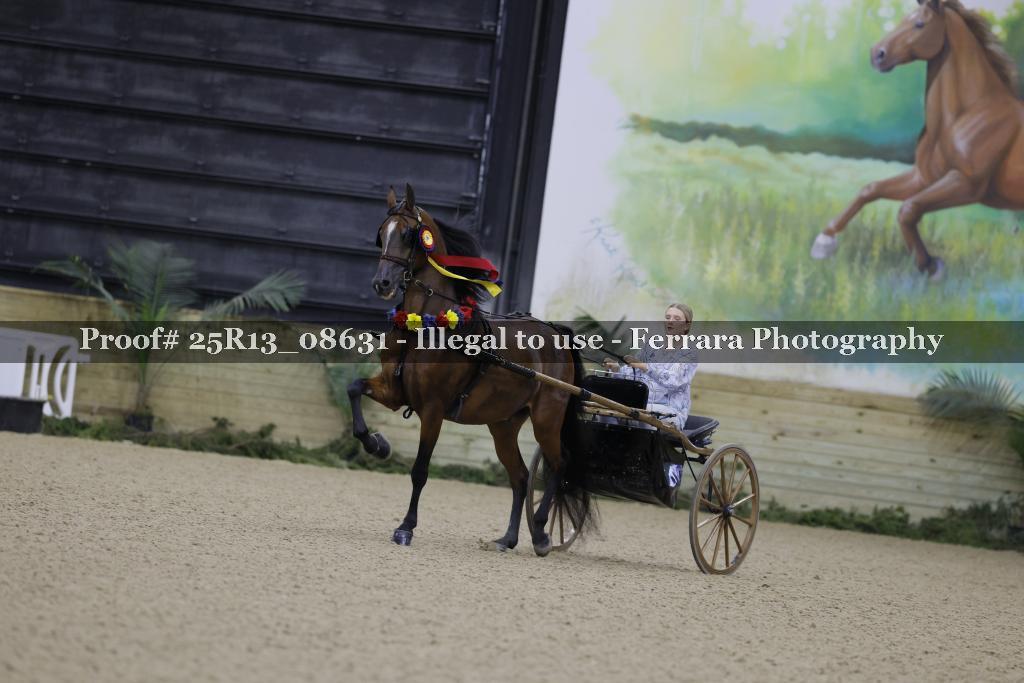 Proof 25R13_08631